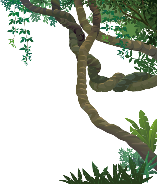 Лианы иллюстрация