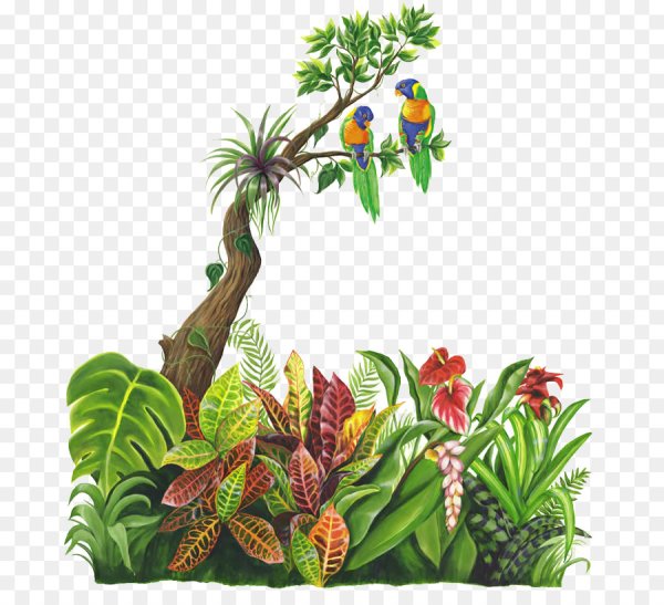 Тропические растения на прозрачном фоне