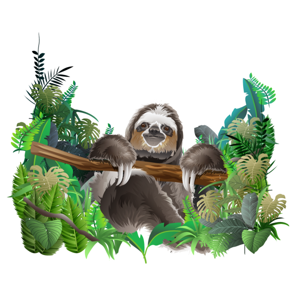 Тропический лес