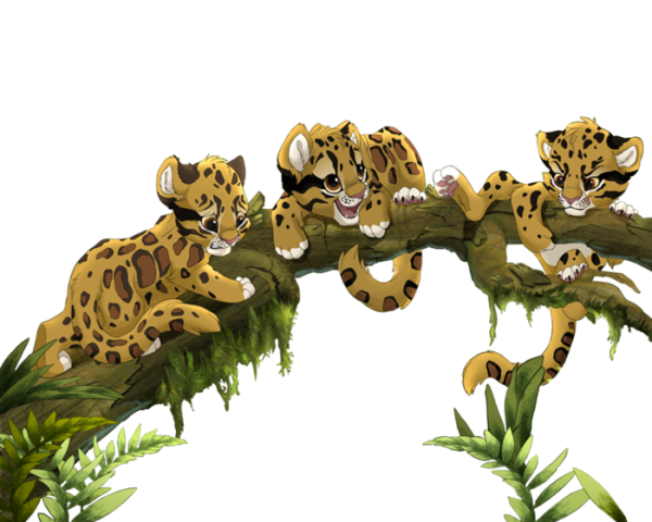 Джунгли на прозрачном фоне