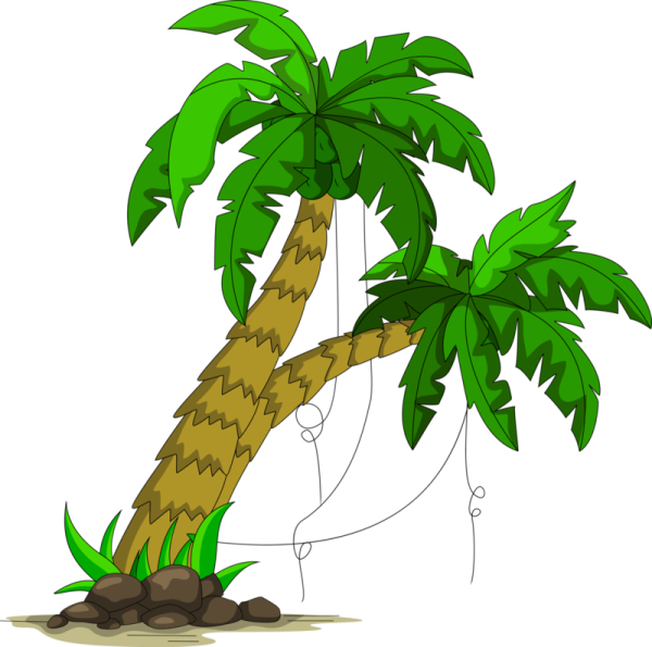 Джунгли деревья палмама для детей