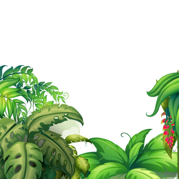 Джунгли на прозрачном фоне