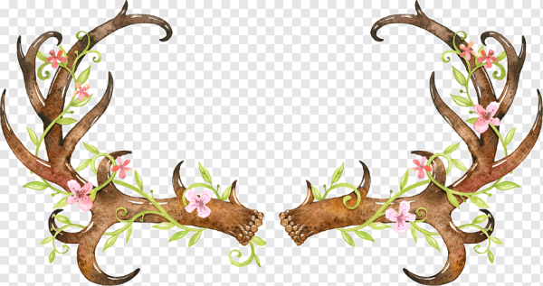 Клипарт рога на прозрачном фоне