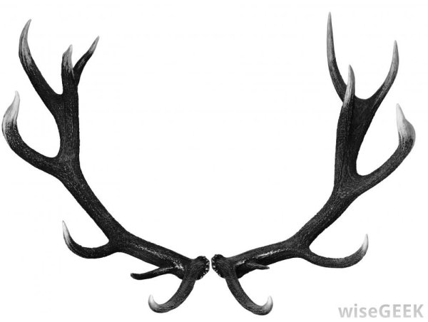 Новогодние рога оленя