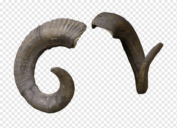 Черные рога дьявола