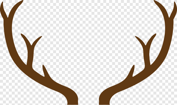 Оленьи рога на прозрачном фоне
