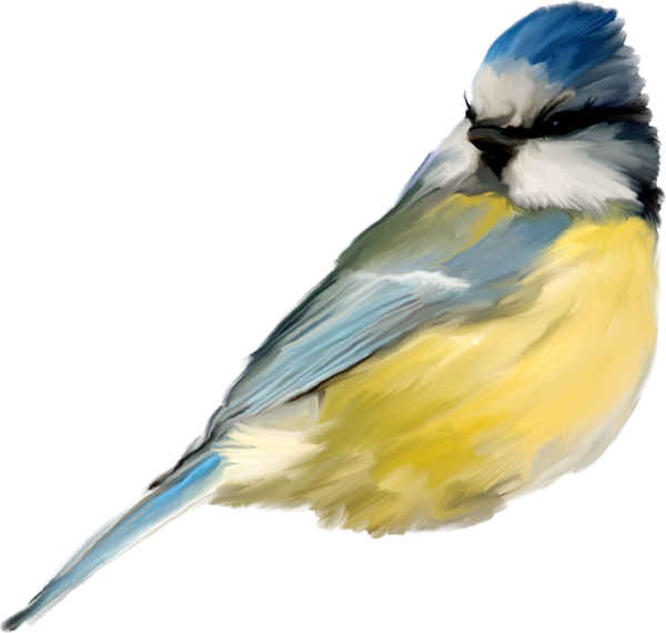 Птицы на прозрачном фоне