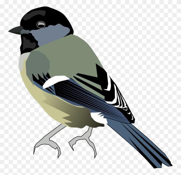 Синица на прозрачном фоне для фотошопа