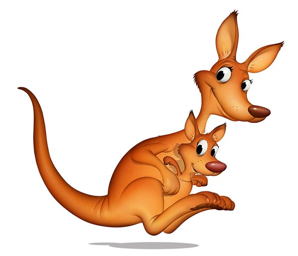 Кенгуру на белом фоне