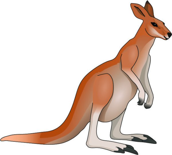 Кенгуру мультяшная