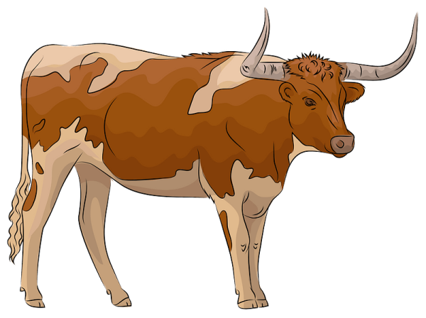 Бык мультяшный