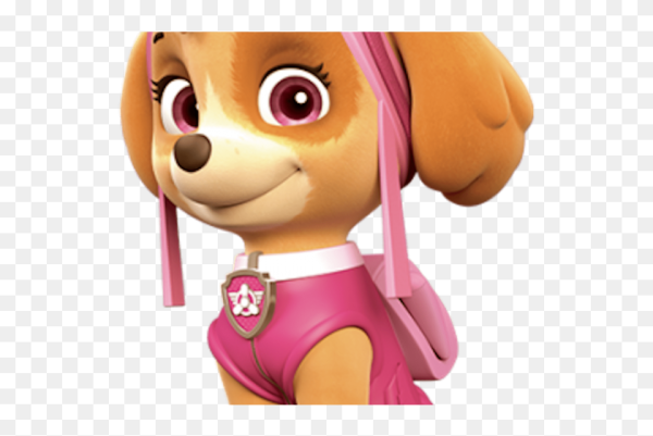 Ачий патруль Скай