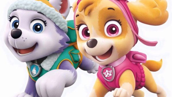 Щенячий патруль Скай и Эверест