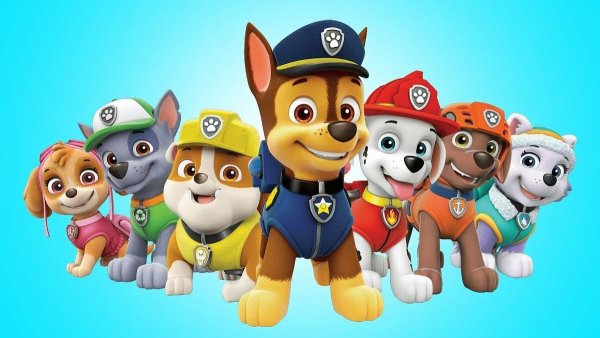 Paw Patrol Patroller
