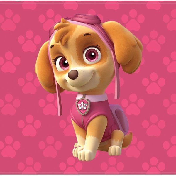 Щенячсий патркль Скайф