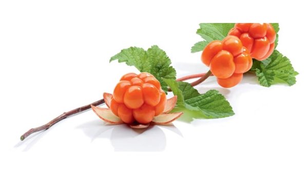 Морошка ягода для детей