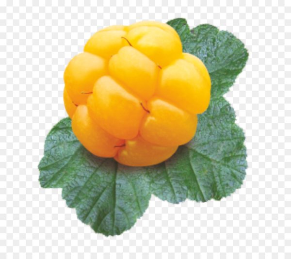 Морошка желтая