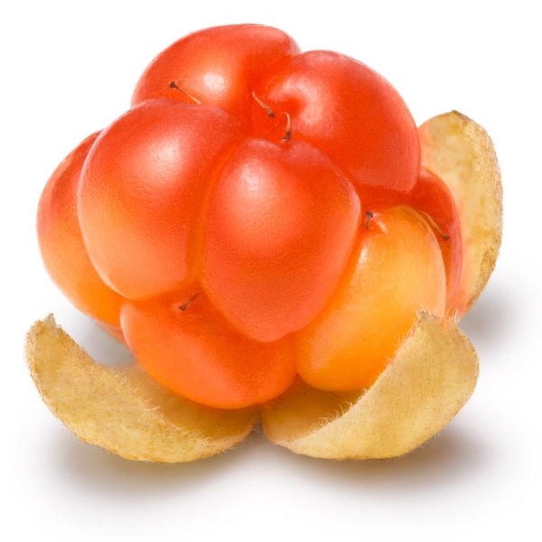 Морошка ягода