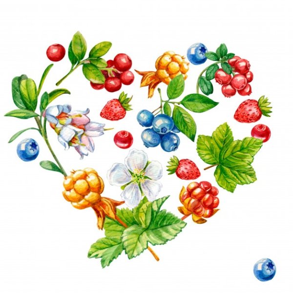 Северные ягоды рисование