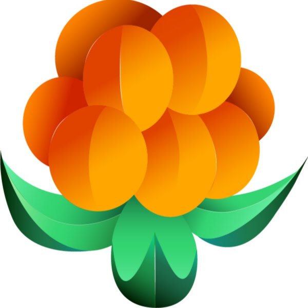 Морошка ягода