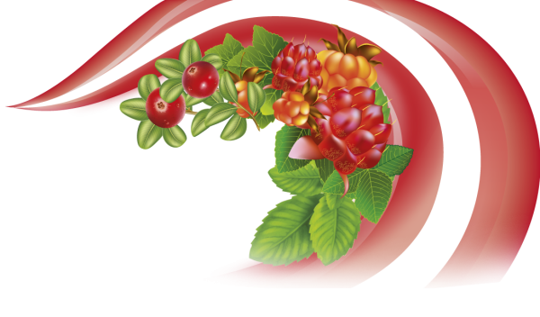 Морошка ягода для детей