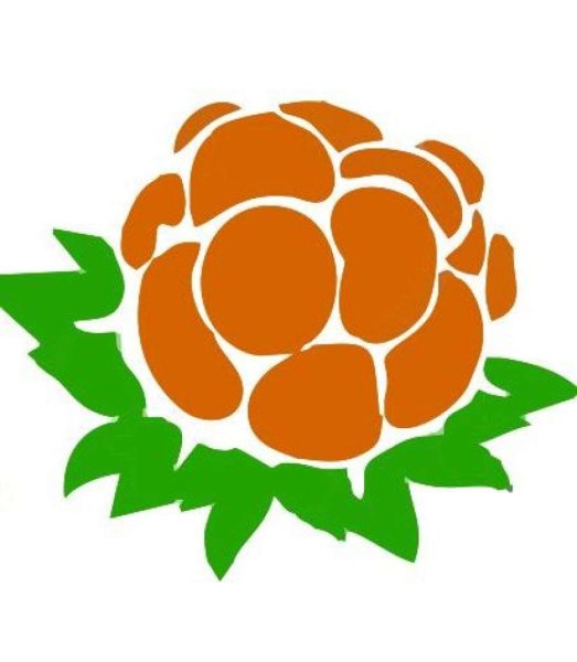 Морошка ягода вектор