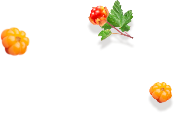 Морошка фон