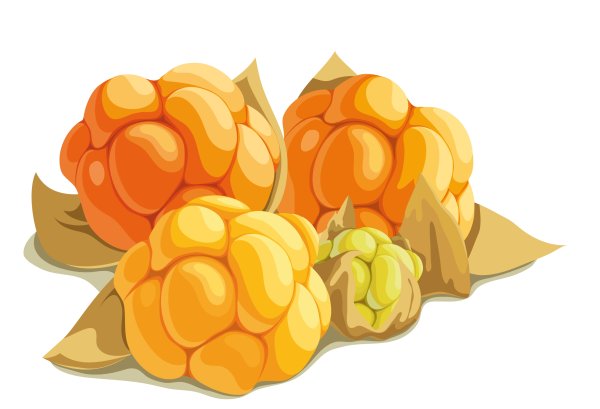 Малина земляника Морошка