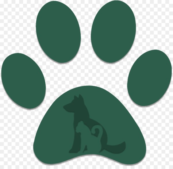 Лапки животных следы