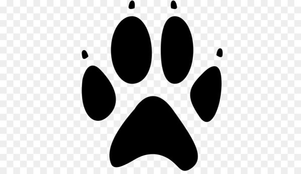 Отпечаток собачьей лапы