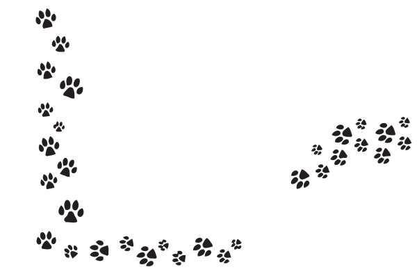 Кошачьи следы на белом фоне
