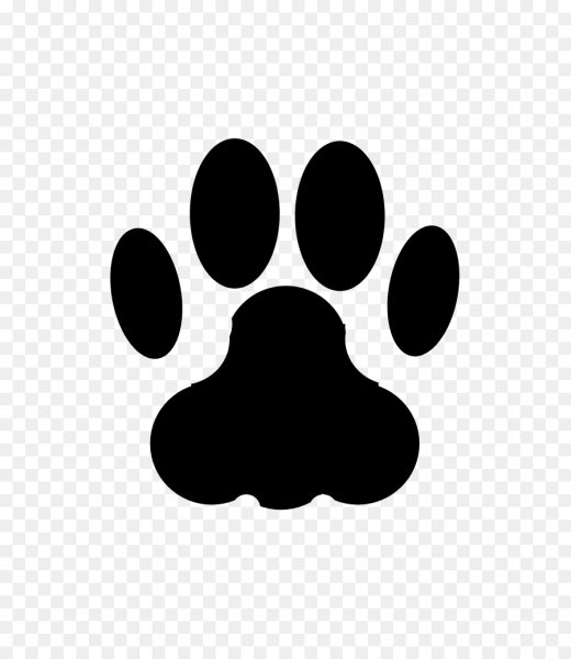 Кошачьи лапки следы