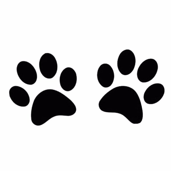 Кошачьи следы