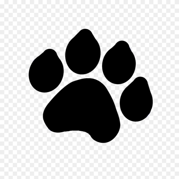 Следы собаки