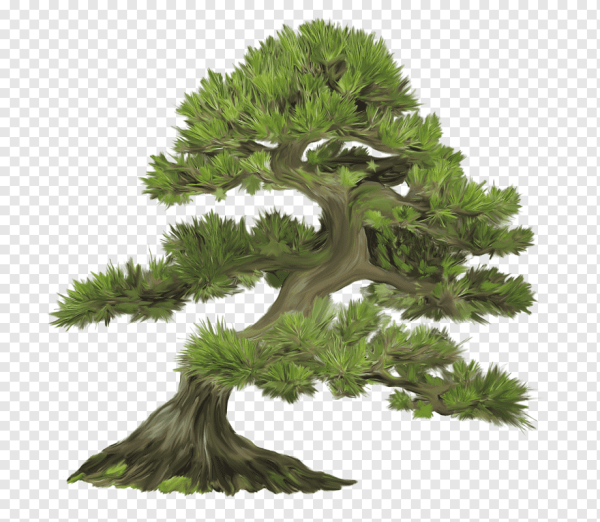 Могучее дерево