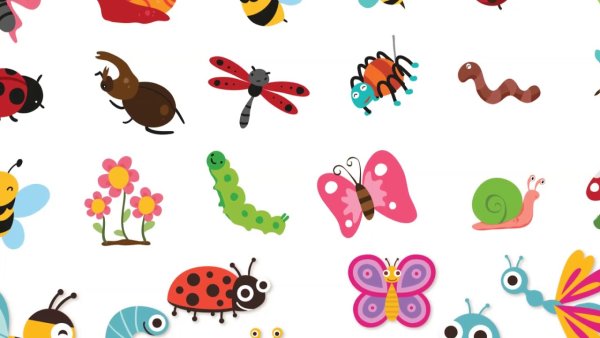 Насекомые для детей