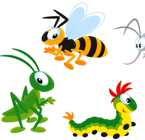 Для малышей насекомые