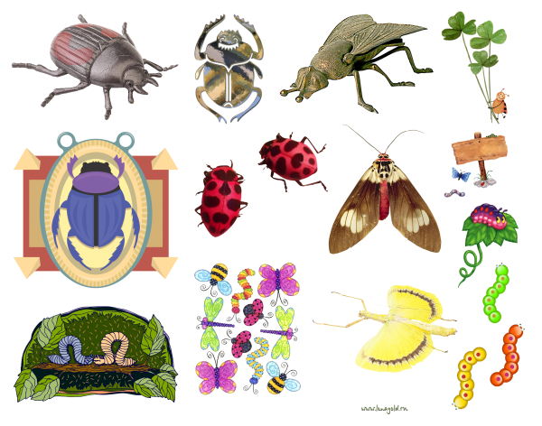 Мультяшные насекомые