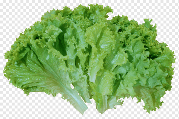 Салат Айсберг