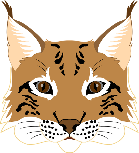 Грозная Рысь клипарт