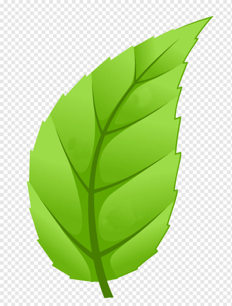 Нарисовать листья