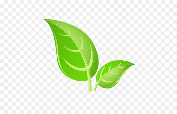 Зеленый листик