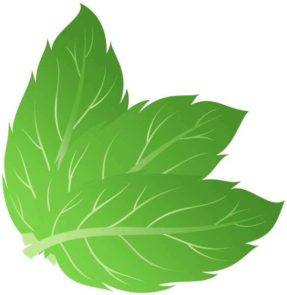 Векторные листочки