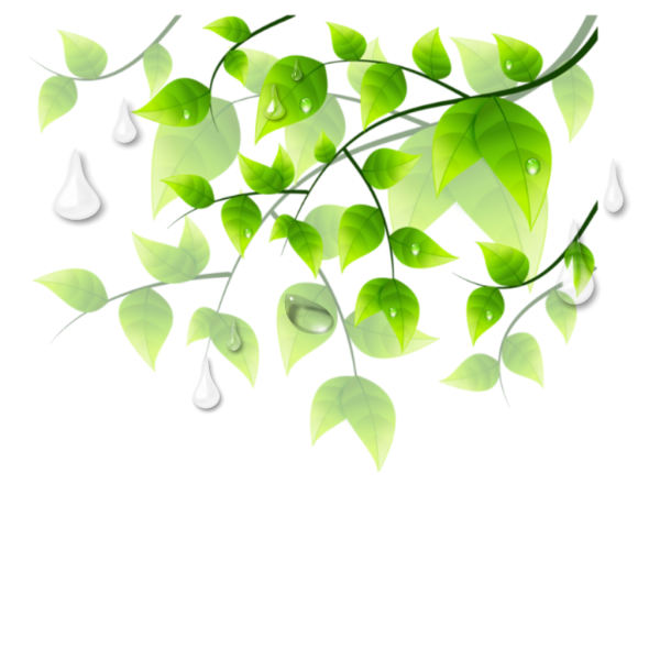 Веточка с листочками