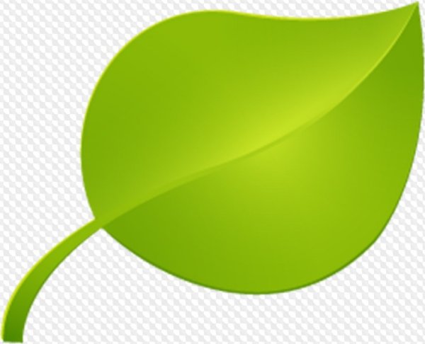 Зеленый листик