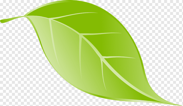 Векторные листья