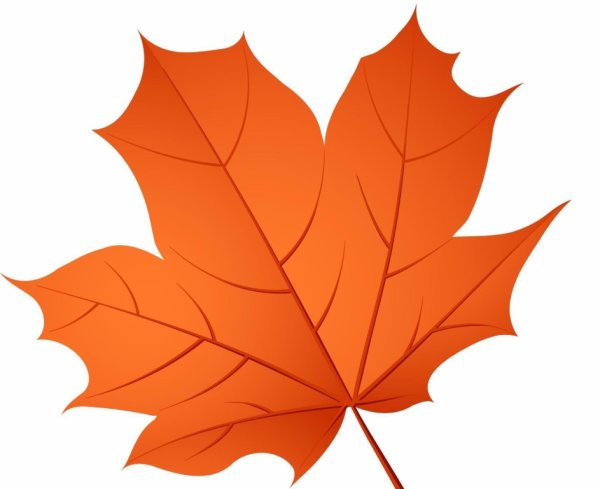 Осенние листья на прозрачном фоне