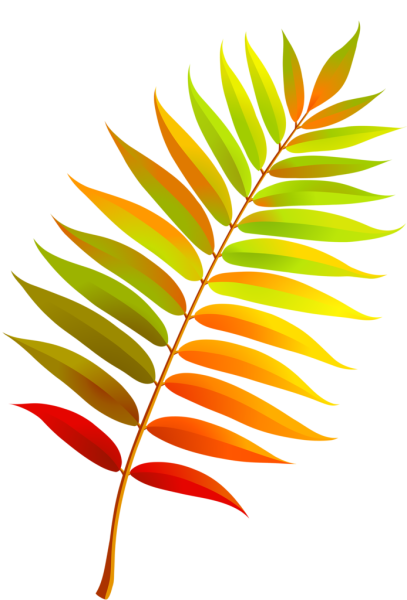 Лист рябины