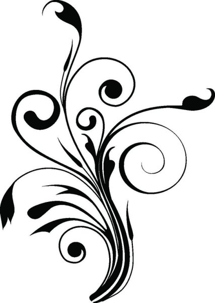 Красивый орнамент на белом фоне