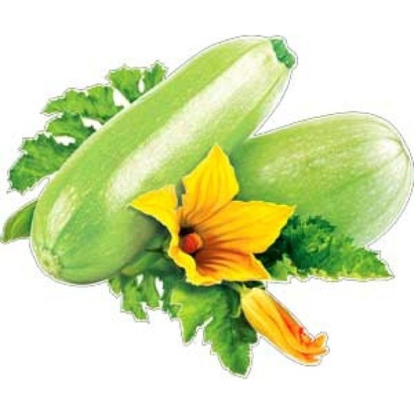 Маска кабачок